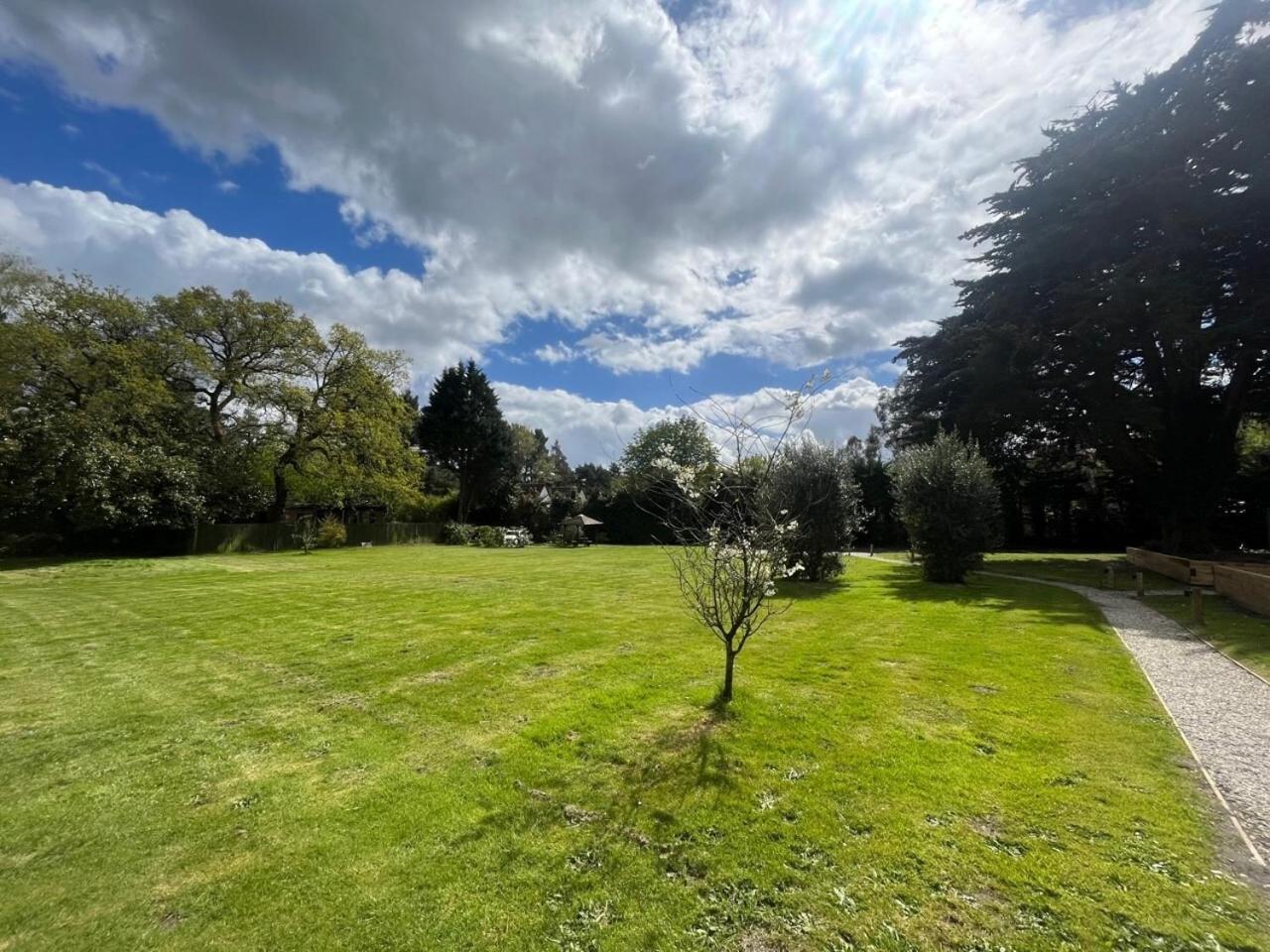 Little Paddock