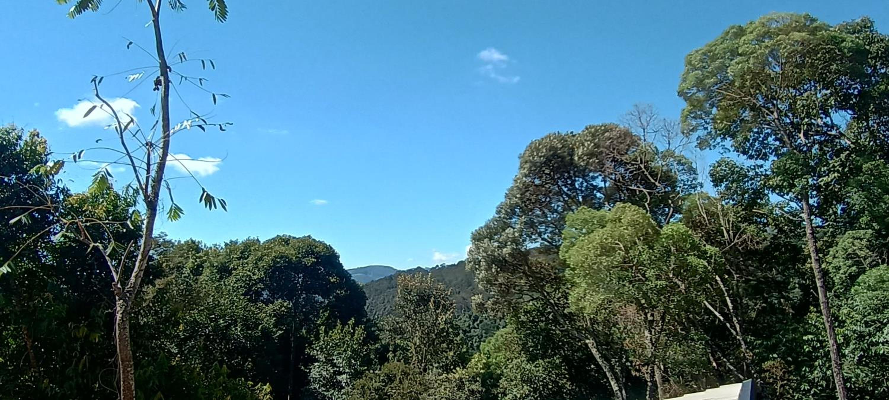 Mountain House Hospedagem