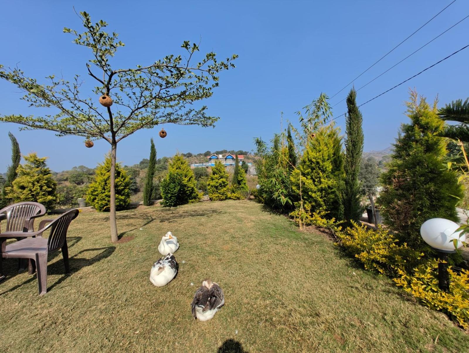 Photo 26