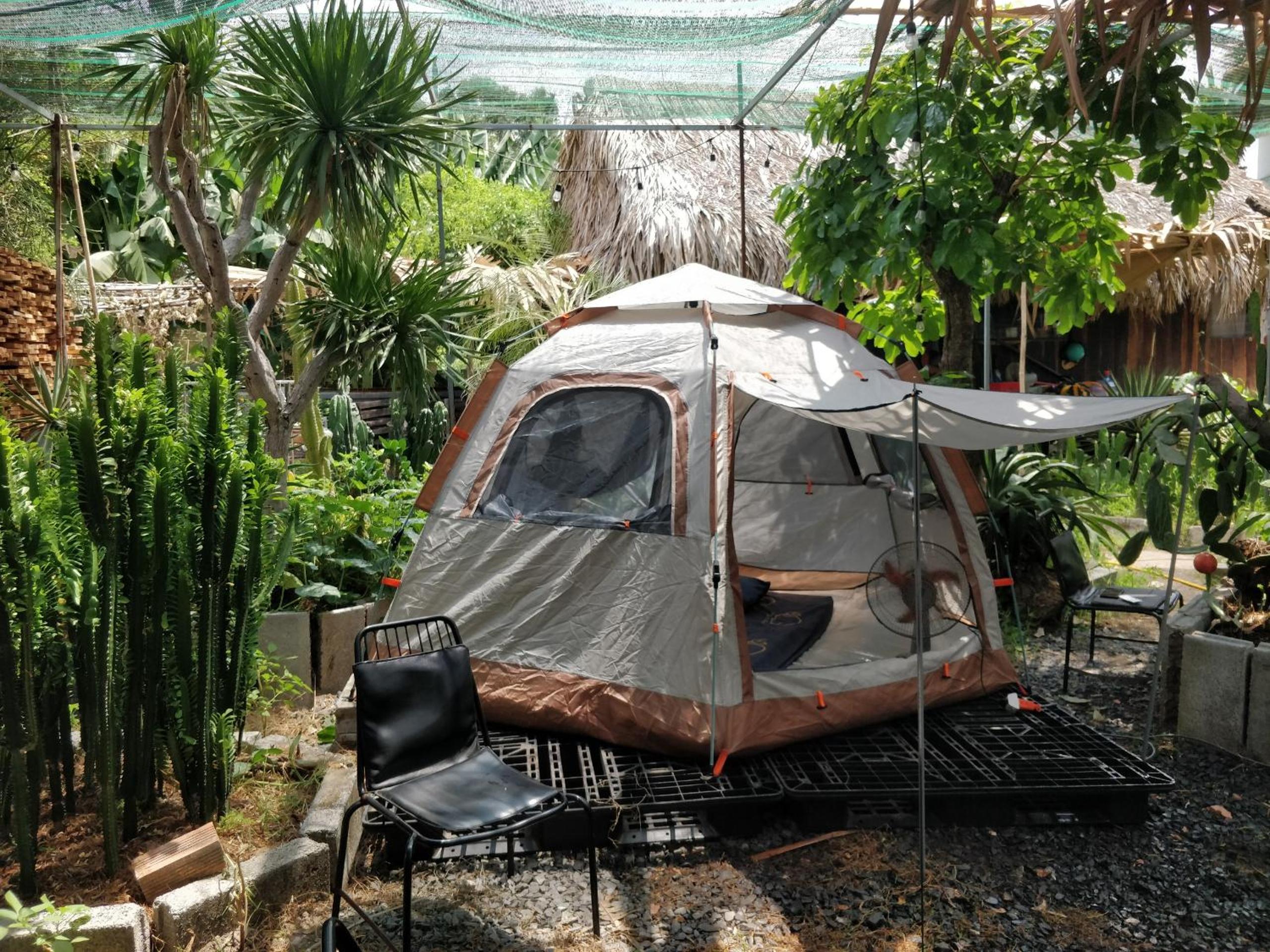 Cactos Chill & Homestay