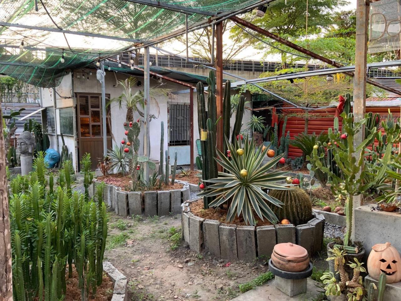 Cactos Chill & Homestay