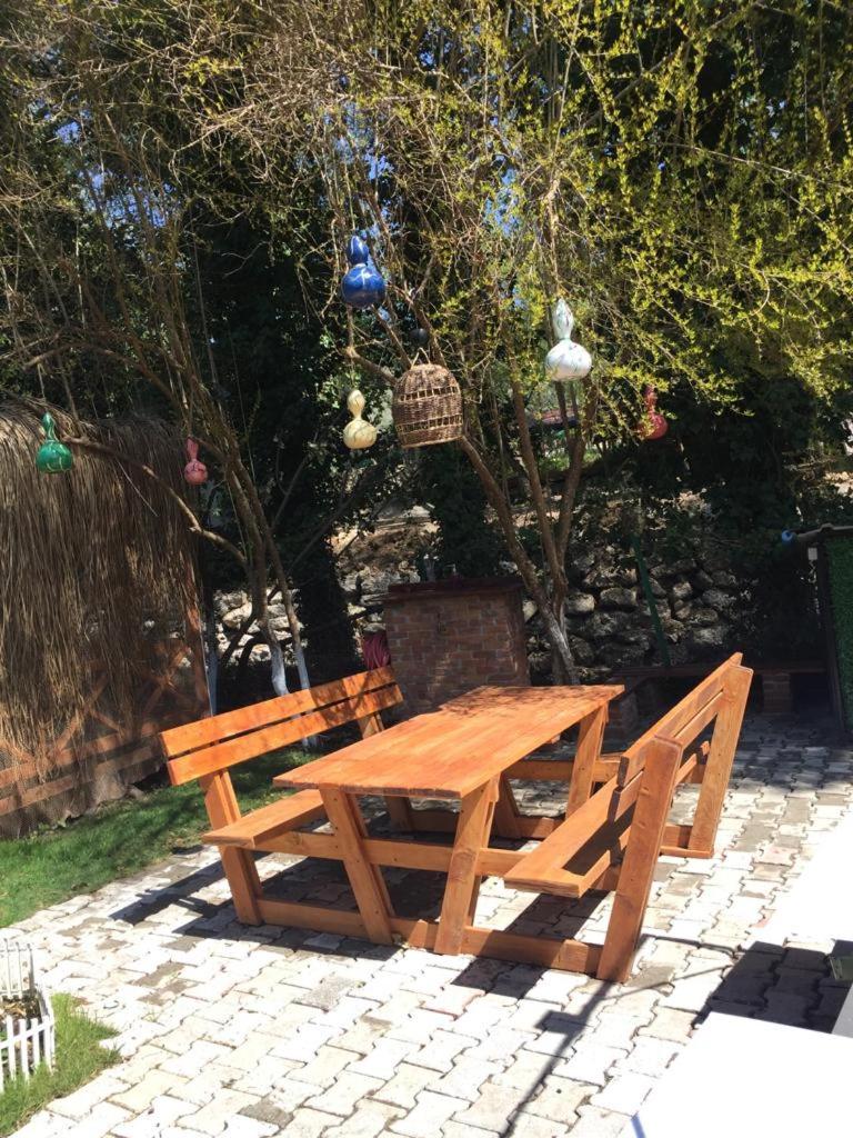 Photo 47