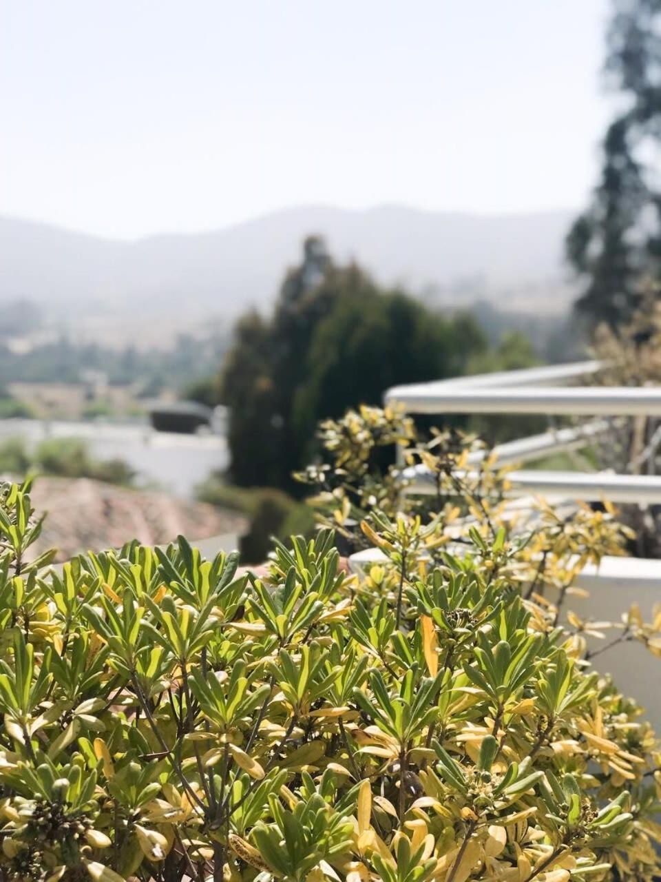 HOM I Hermosa Casa en Cachagua HotTub Privado y Parrilla