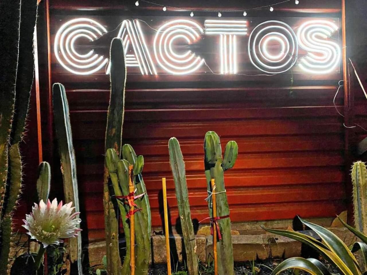 Cactos Chill & Homestay