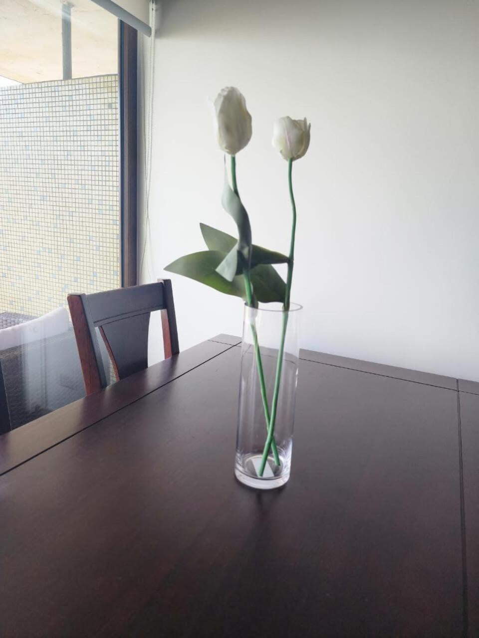 HOM I Amplio Studio a estrenar en Condominio con Terraza 173