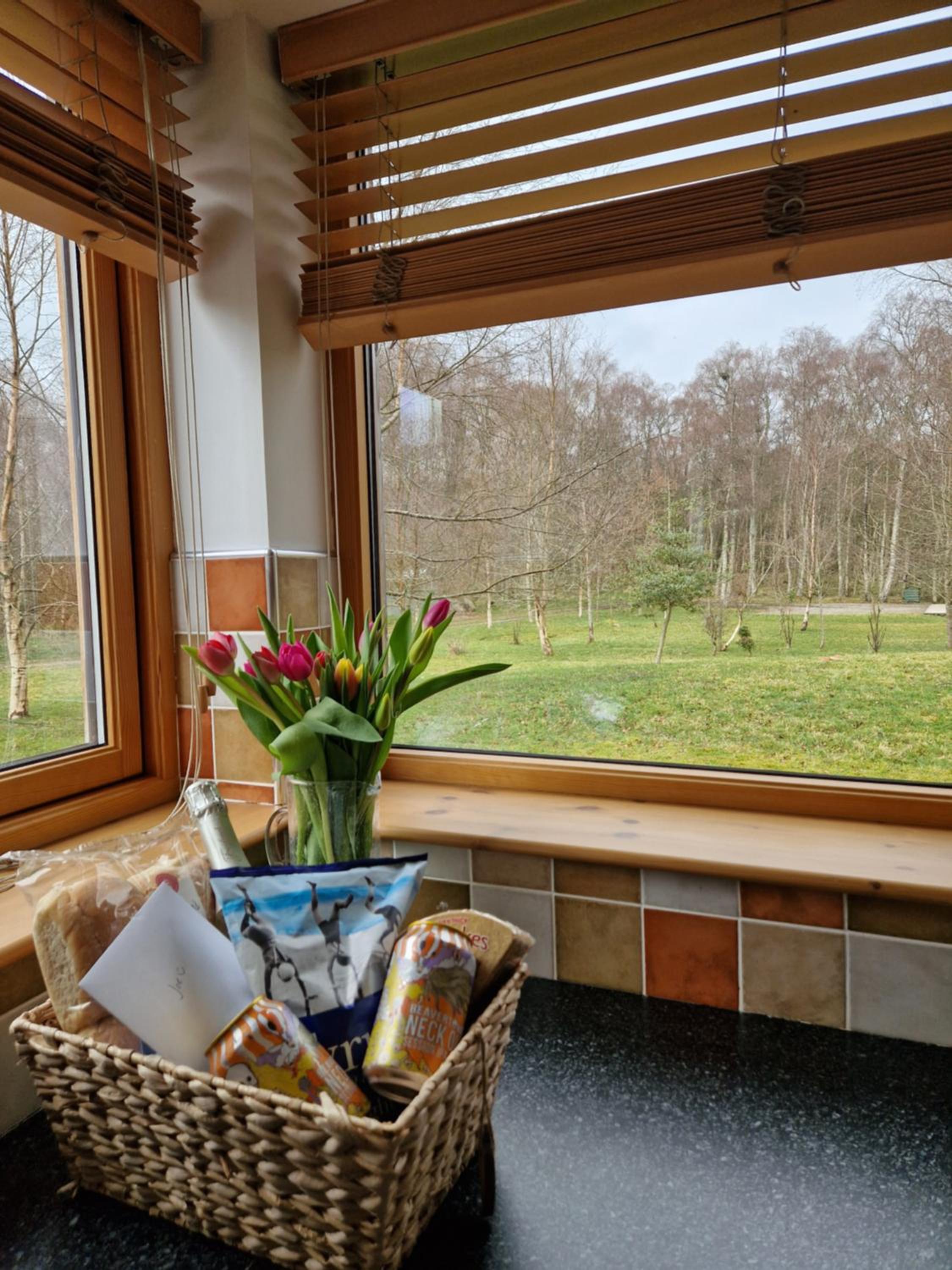 Lodges at the Mains