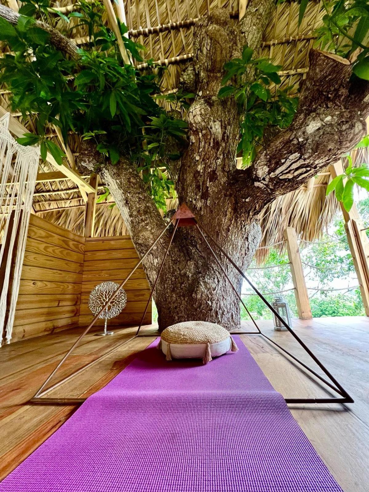 Margarita Ecovillage