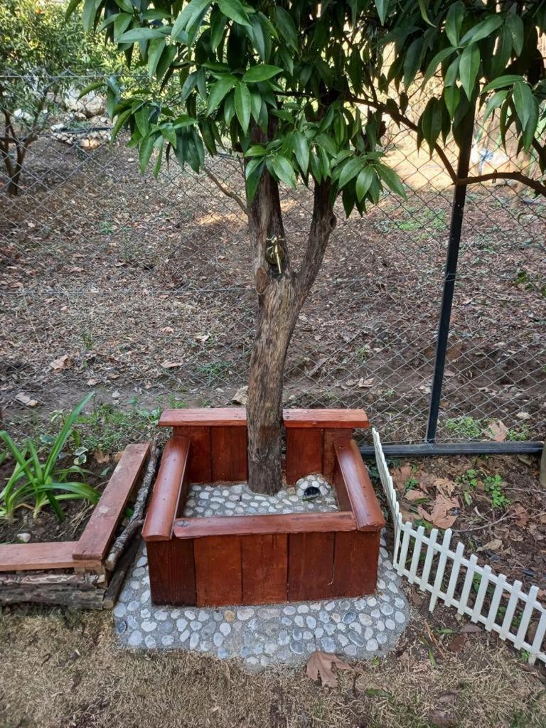 Photo 17