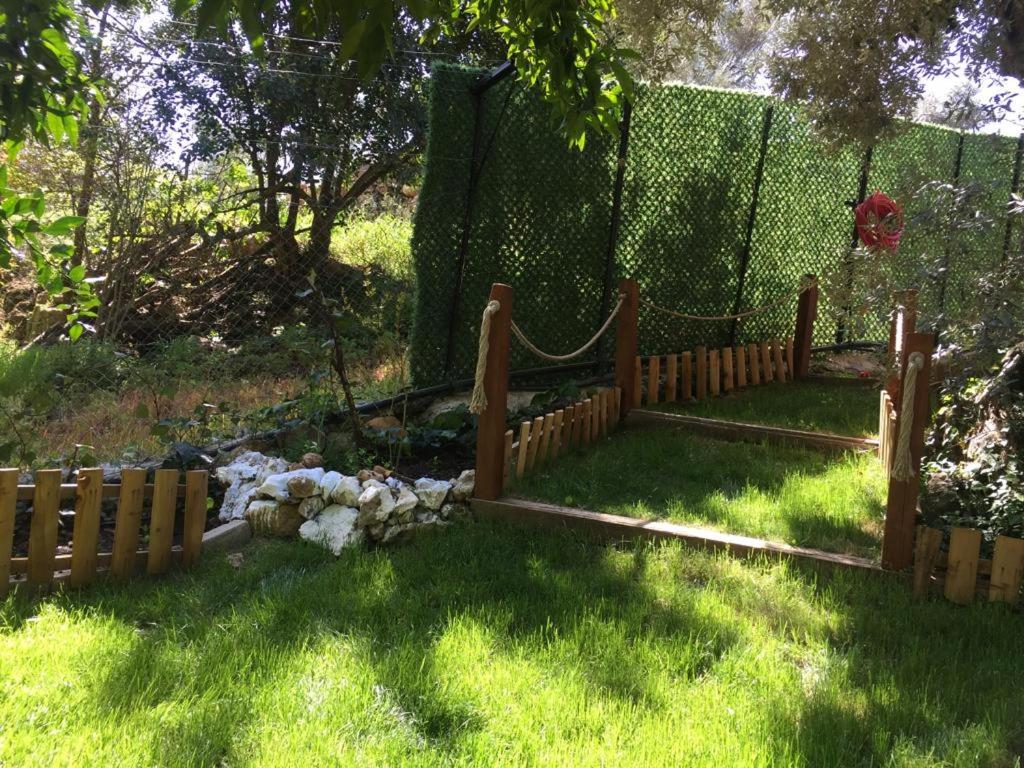 Photo 19