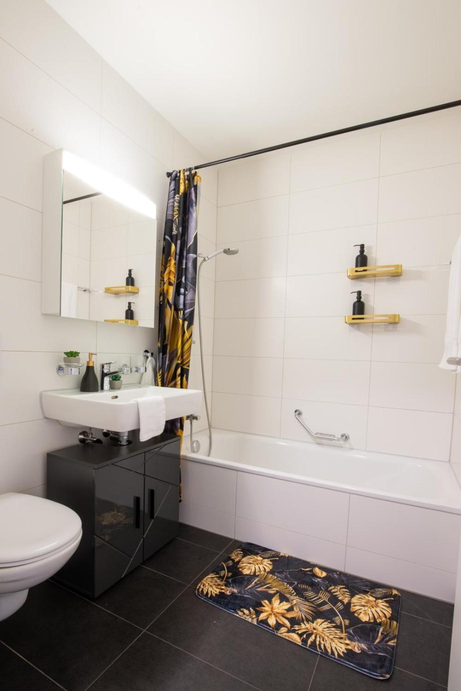 Special EiNSTEiN IIV Apartment, Messe Kleinbasel 10-STAR