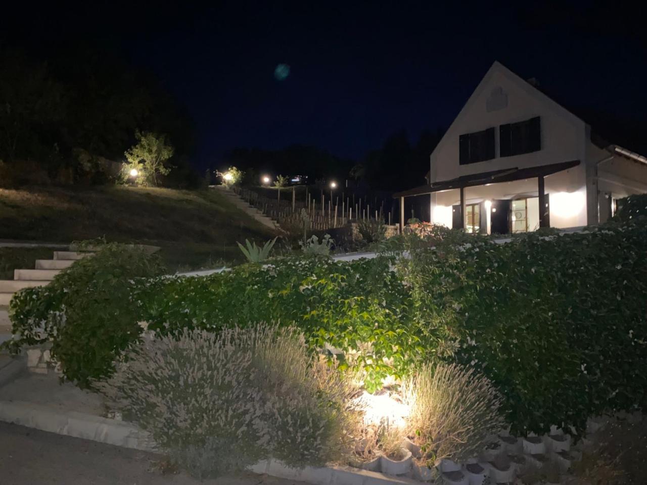 Borbora Borház Villa