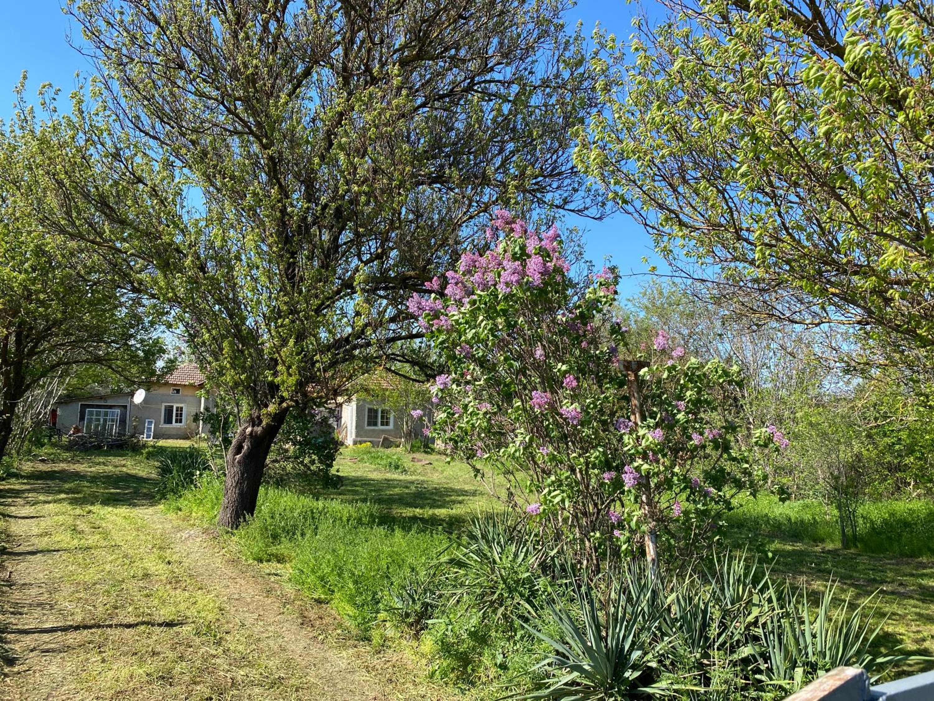 Ferienhaus Primorska Sunshine in Strandnähe