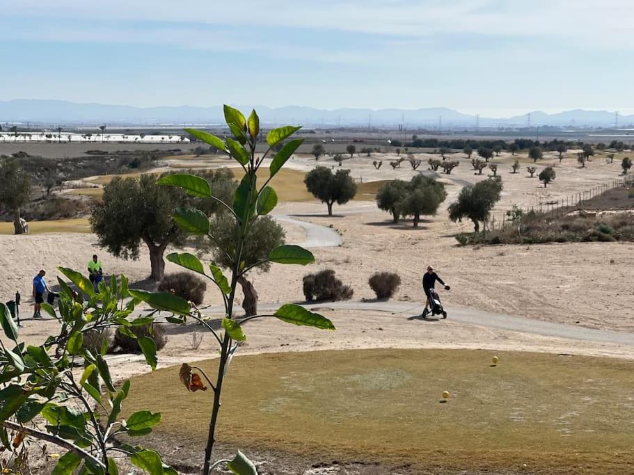 Alucinante villa a pie de golf piscina Altaona Golf