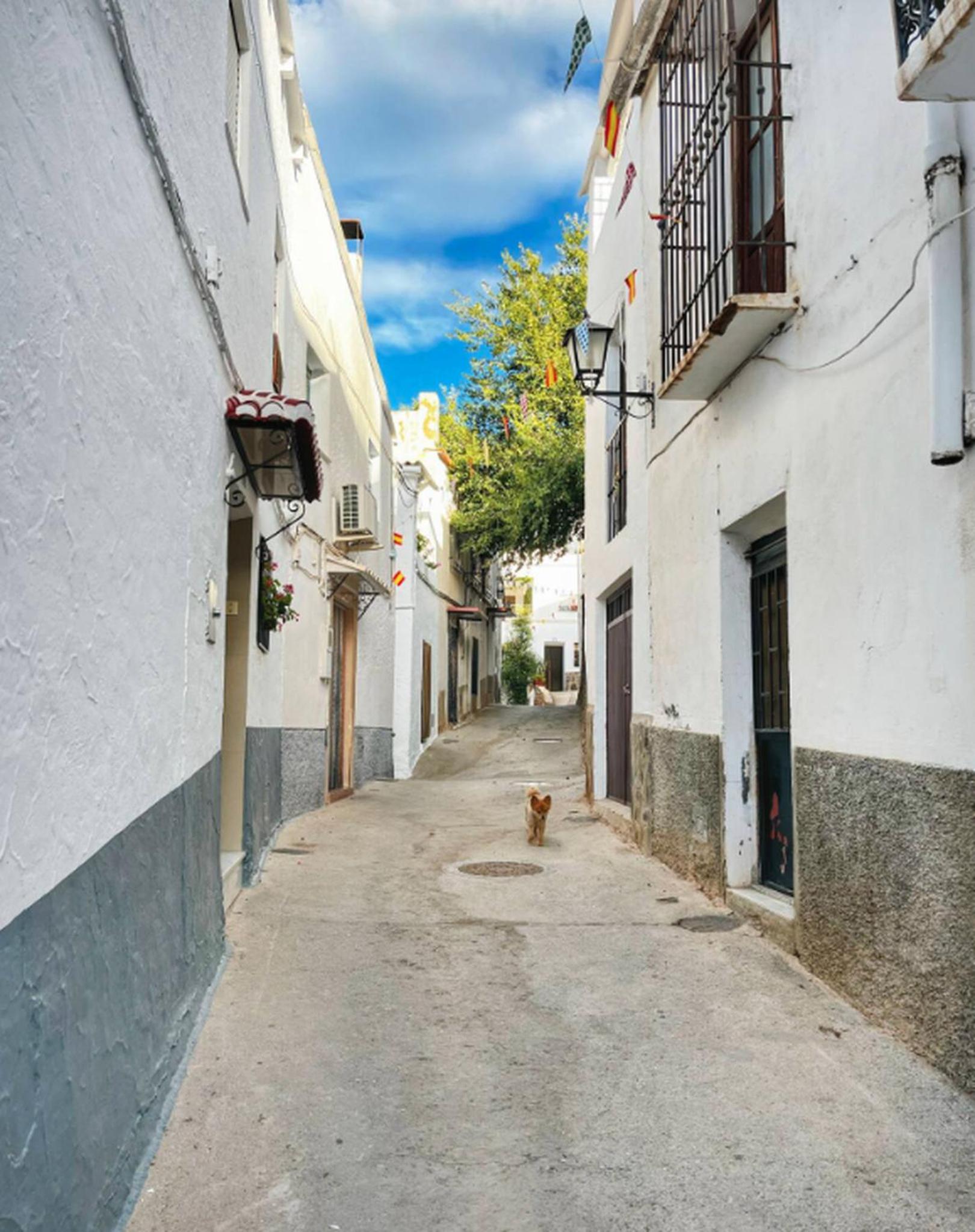 Casa Alfurán