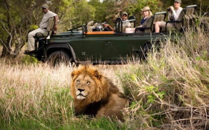 Hazyview Vacations - Kruger Park Lodge - Luxury Inyamatane Chalets - Property Image 11