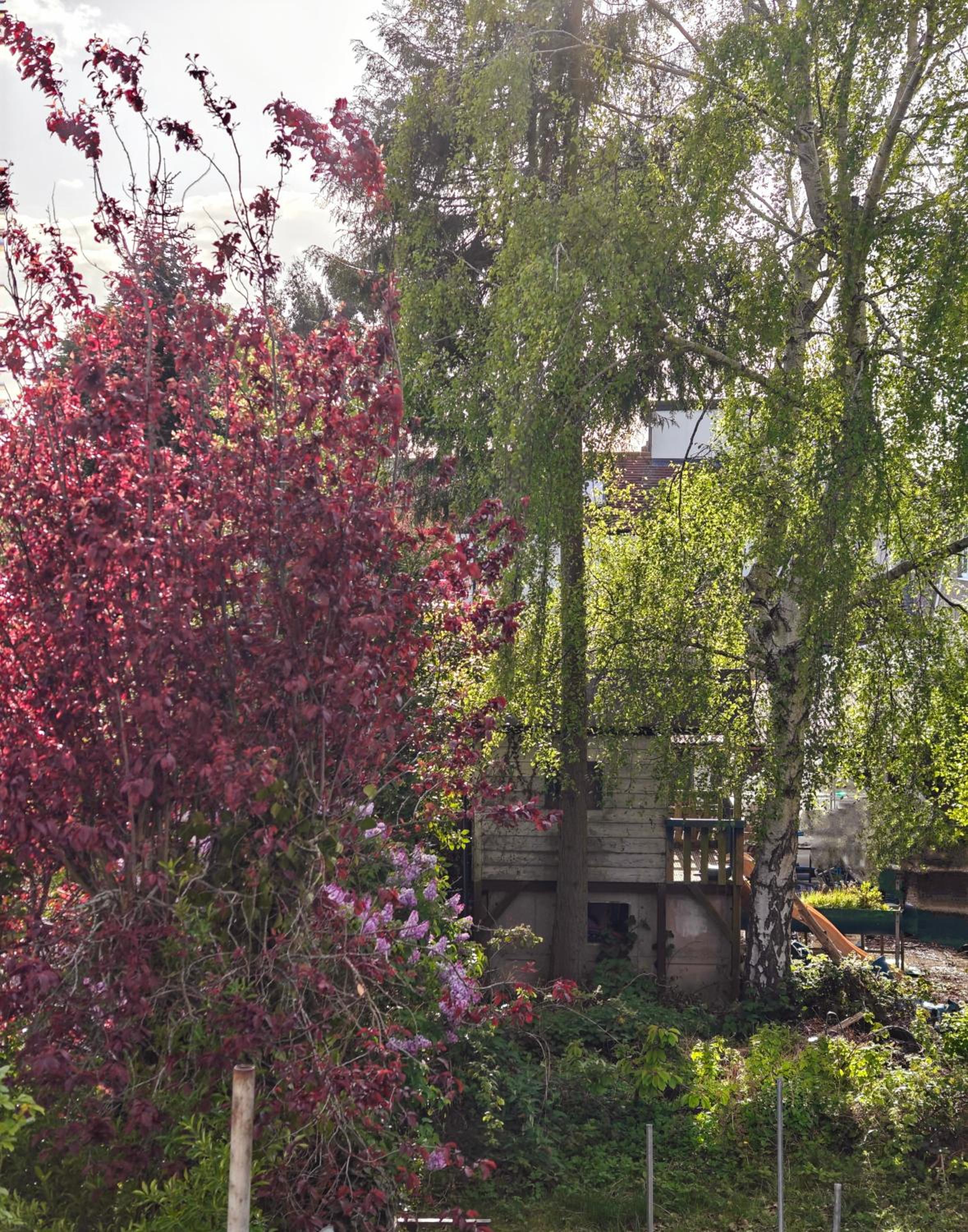 Headington Haven Homestay