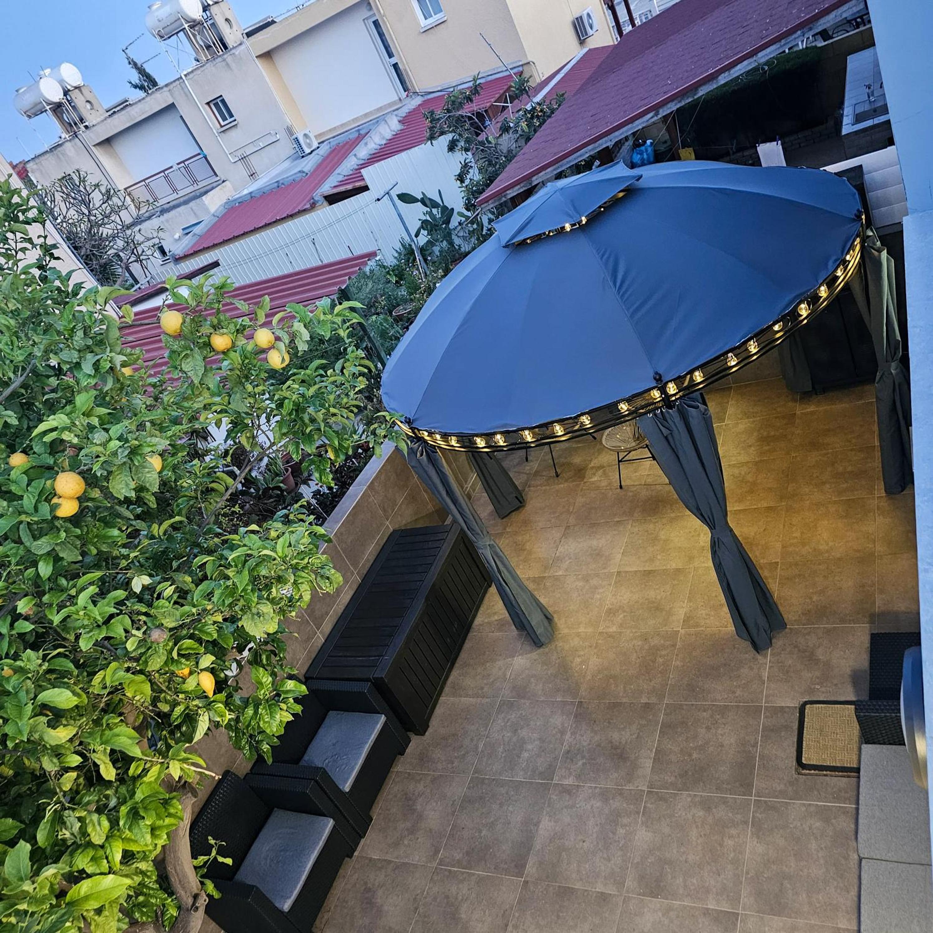 Lemon Tree House