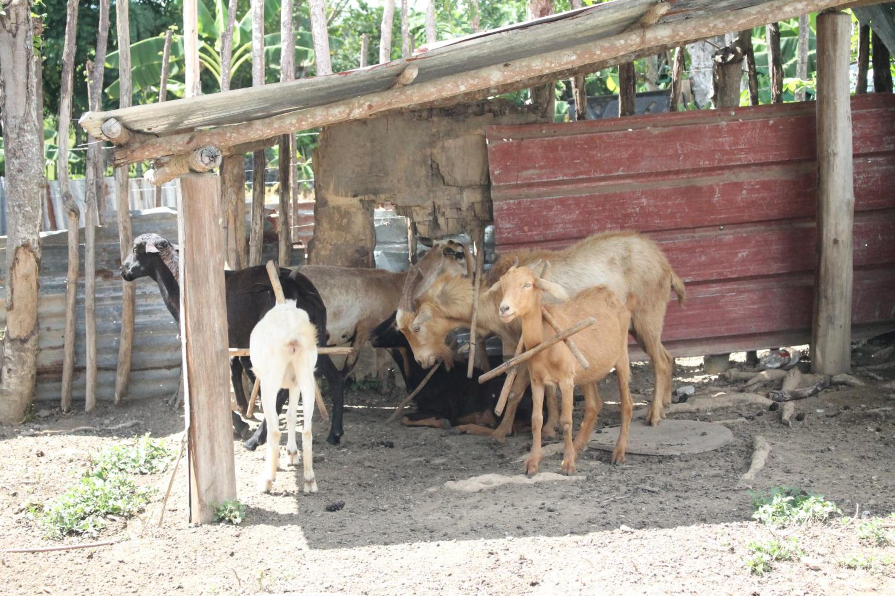 Hacienda Familiar en Hato Mayor del Rey