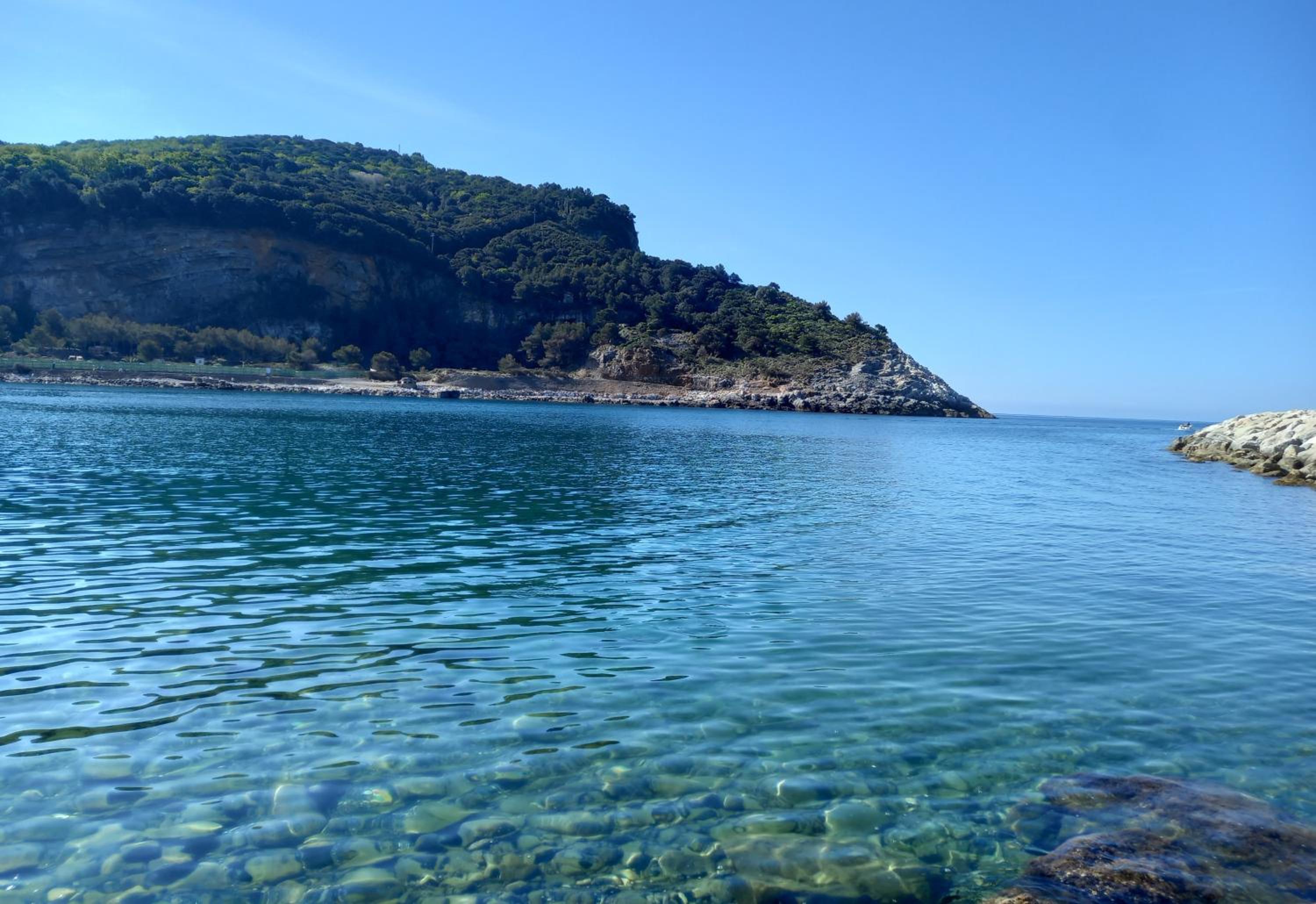 Anima di Mare