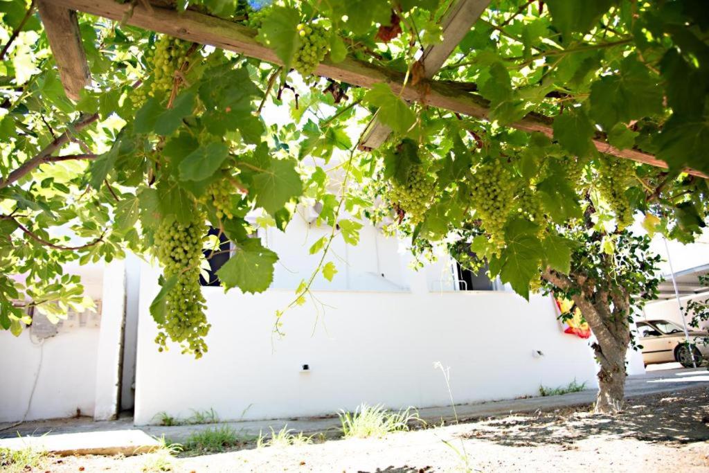 El Verano photo 2