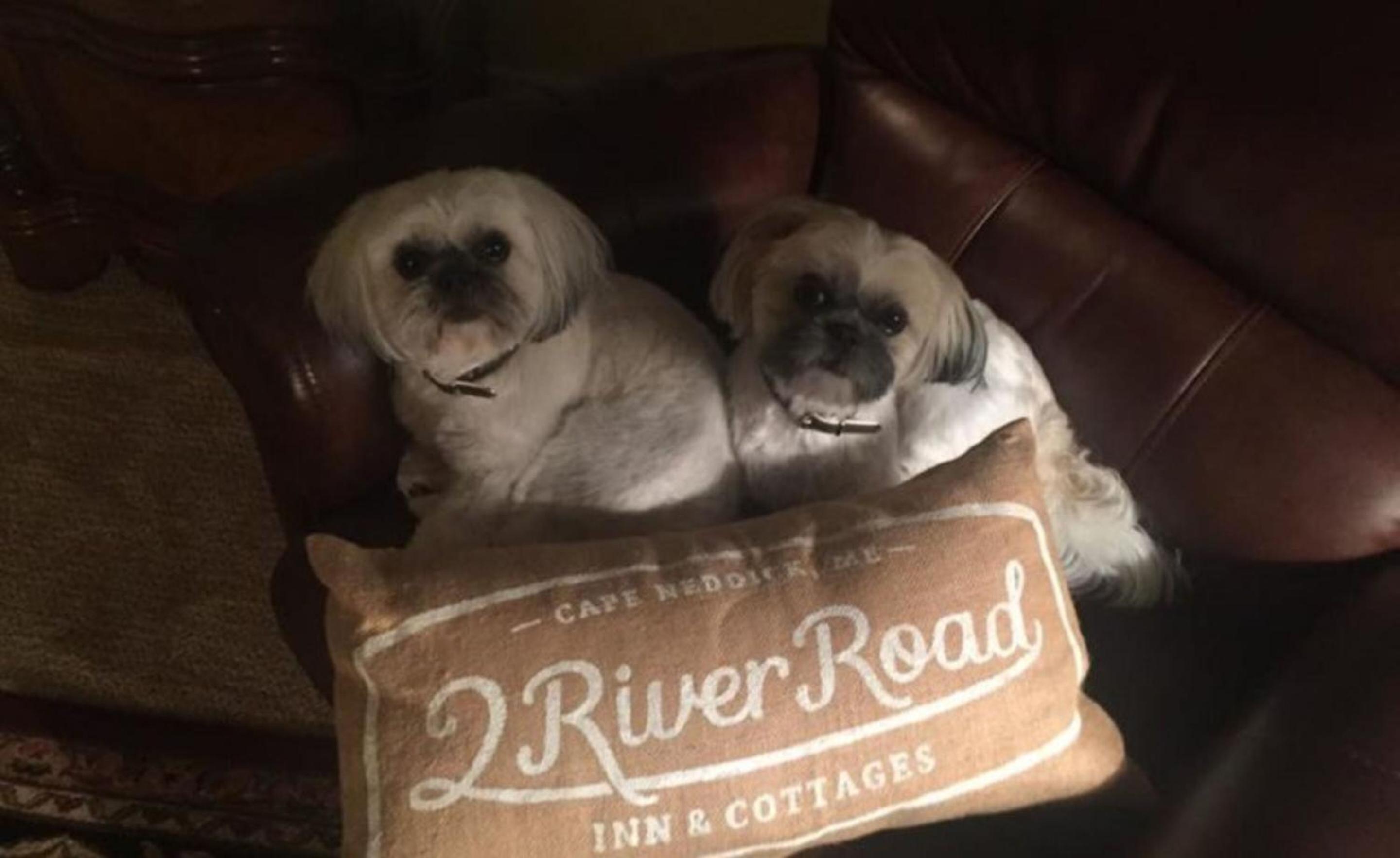 2 River Road Inn & Cottages