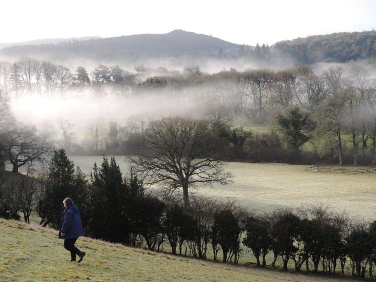 Trevadlock Manor Self Catering Cottages