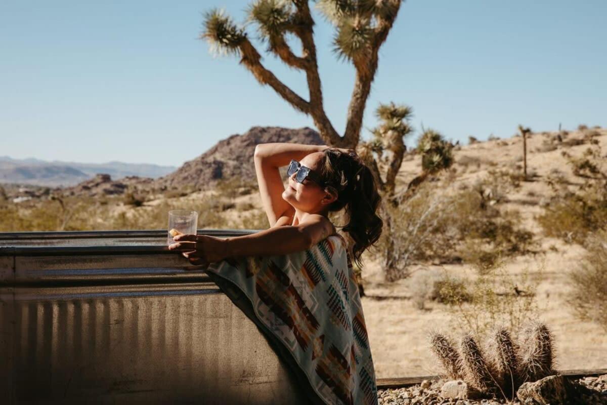 Shelter 2 l A Classic At Joshua Tree Park Entrance view 5