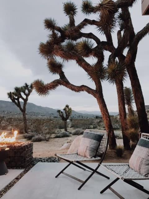 Shelter 1- A Classic- At Joshua Tree Park Entrance view 5