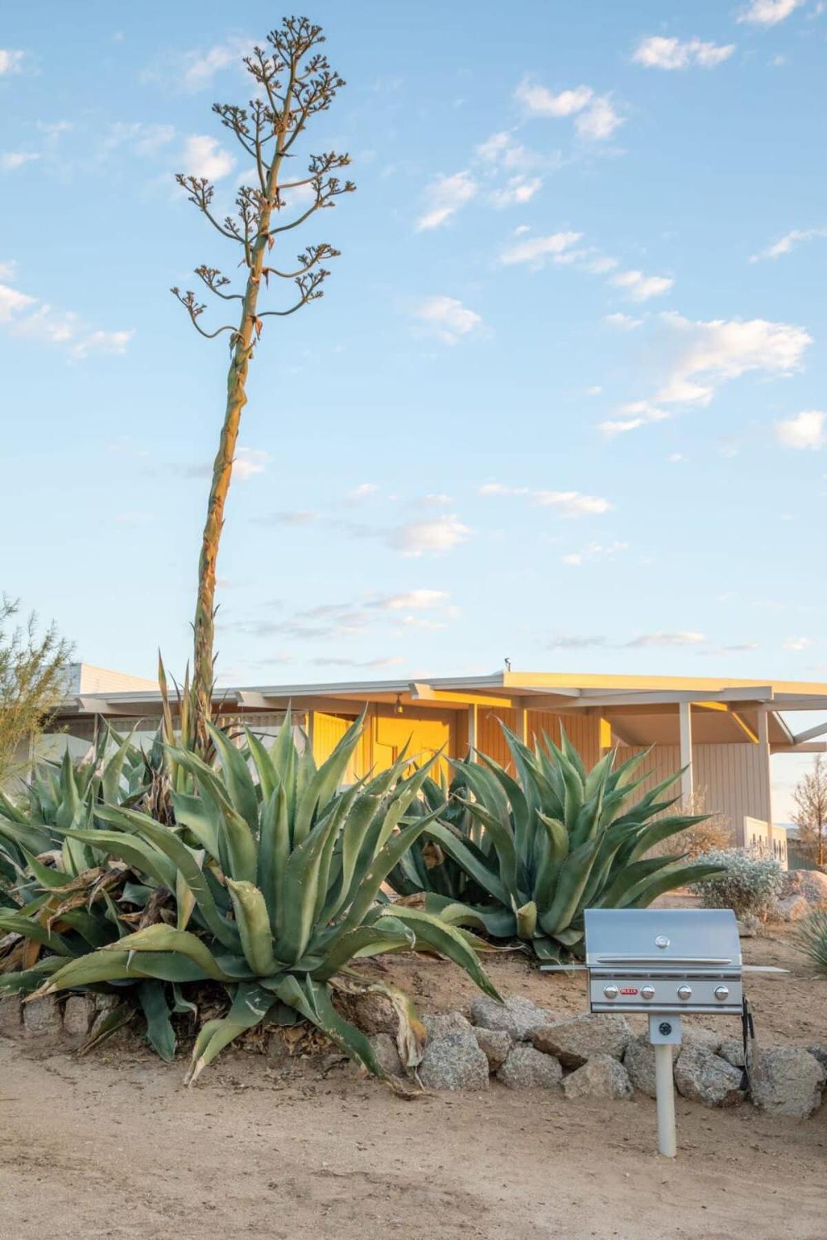The Bungalows by Homestead Modern