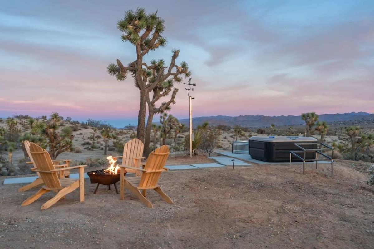 Kinetic House-Joshua Trees Sculptures Cowboy Pool view 3