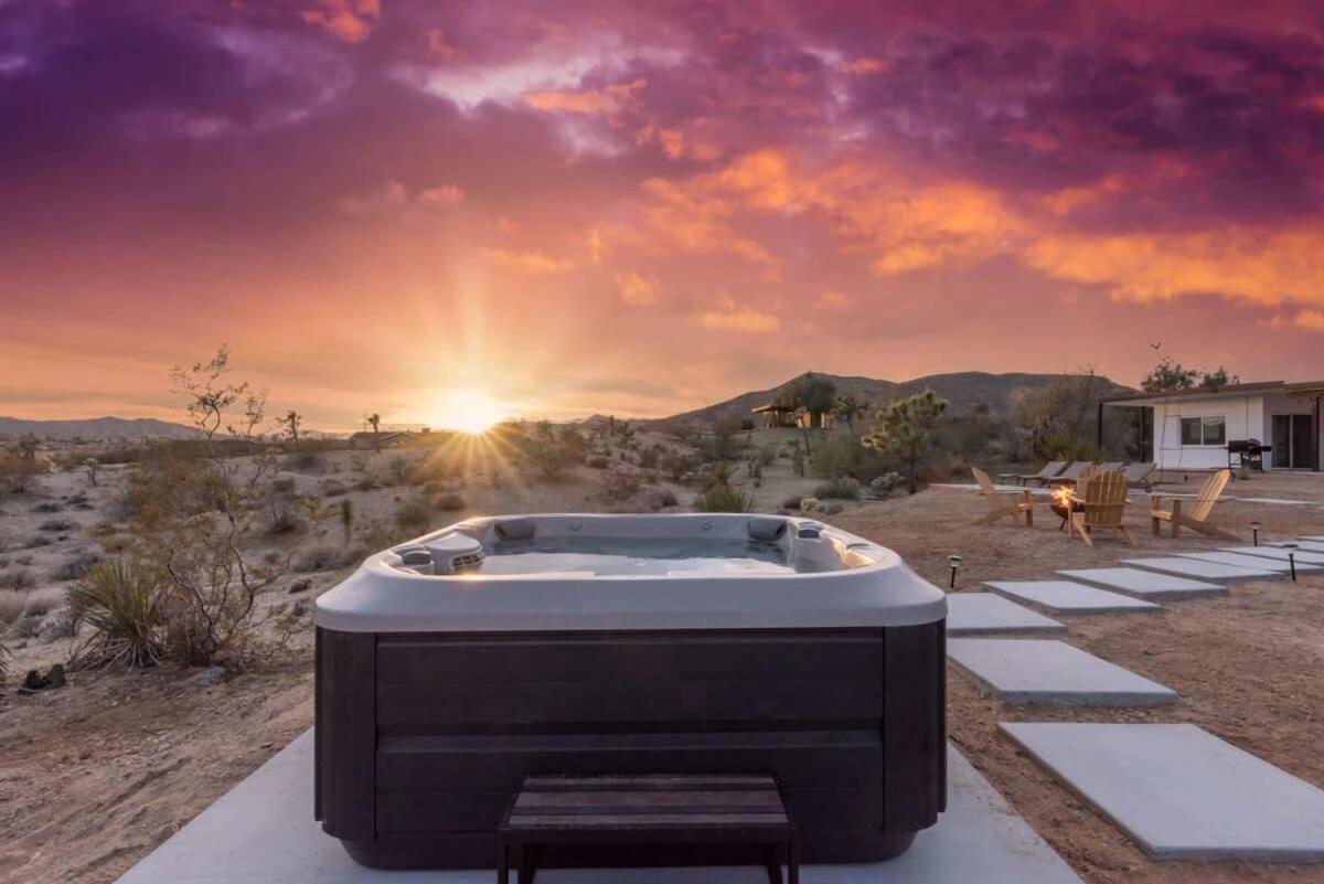 Kinetic House-Joshua Trees Sculptures Cowboy Pool view 5