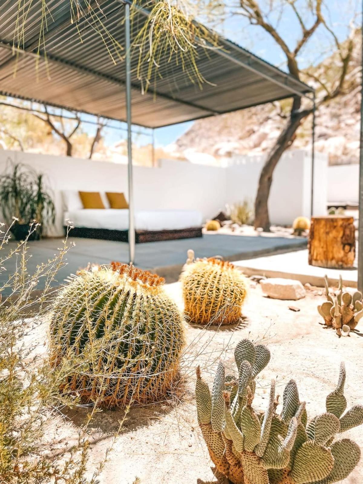 Andrea Zittel's Joshua Tree Home A Z West House view 3