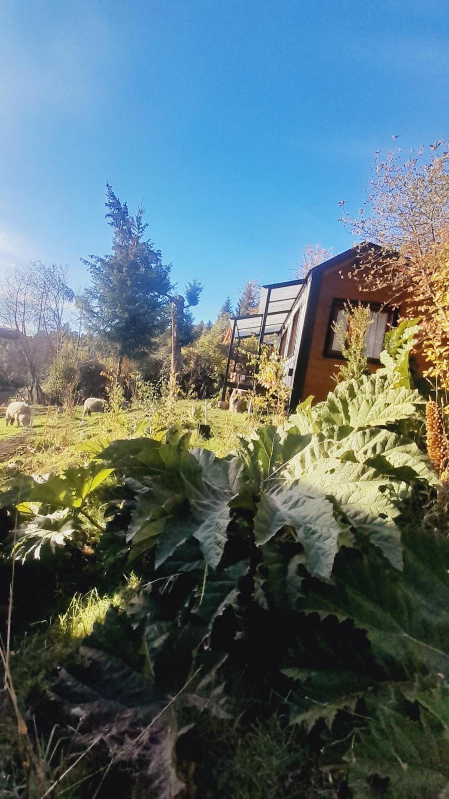 Casa en la Montaña, Casa Chucao
