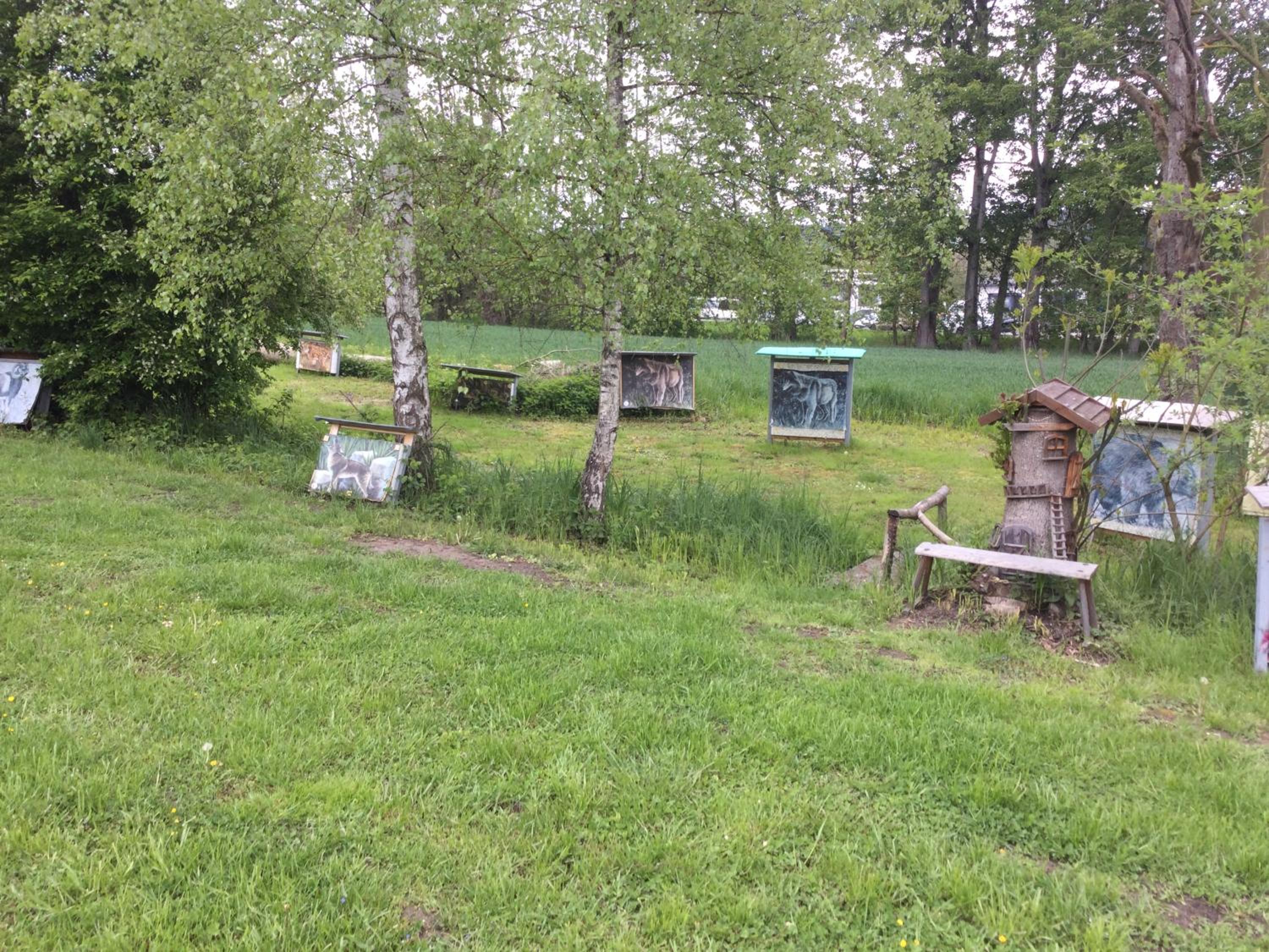Photo 6