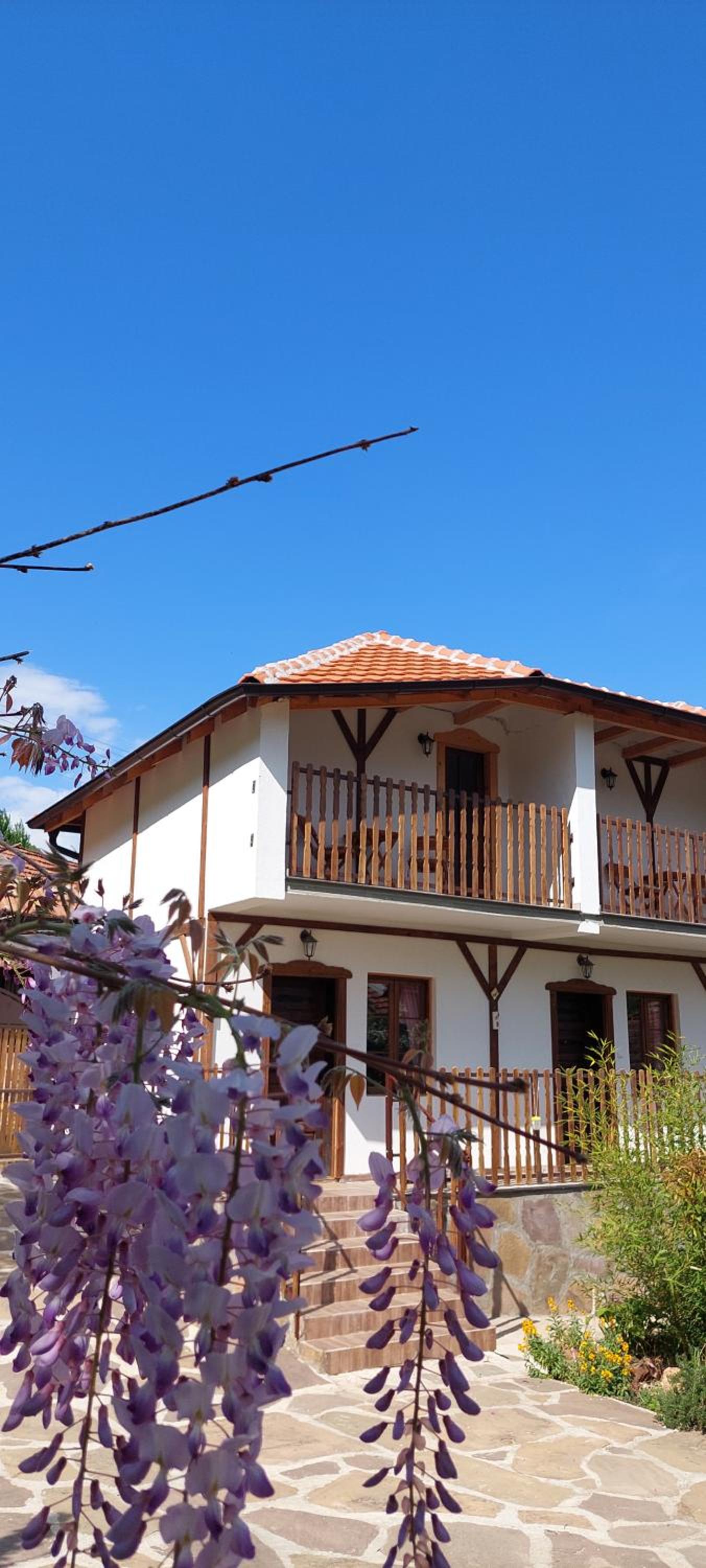 Golemi kamik Pirot Vlasi 2 view 3