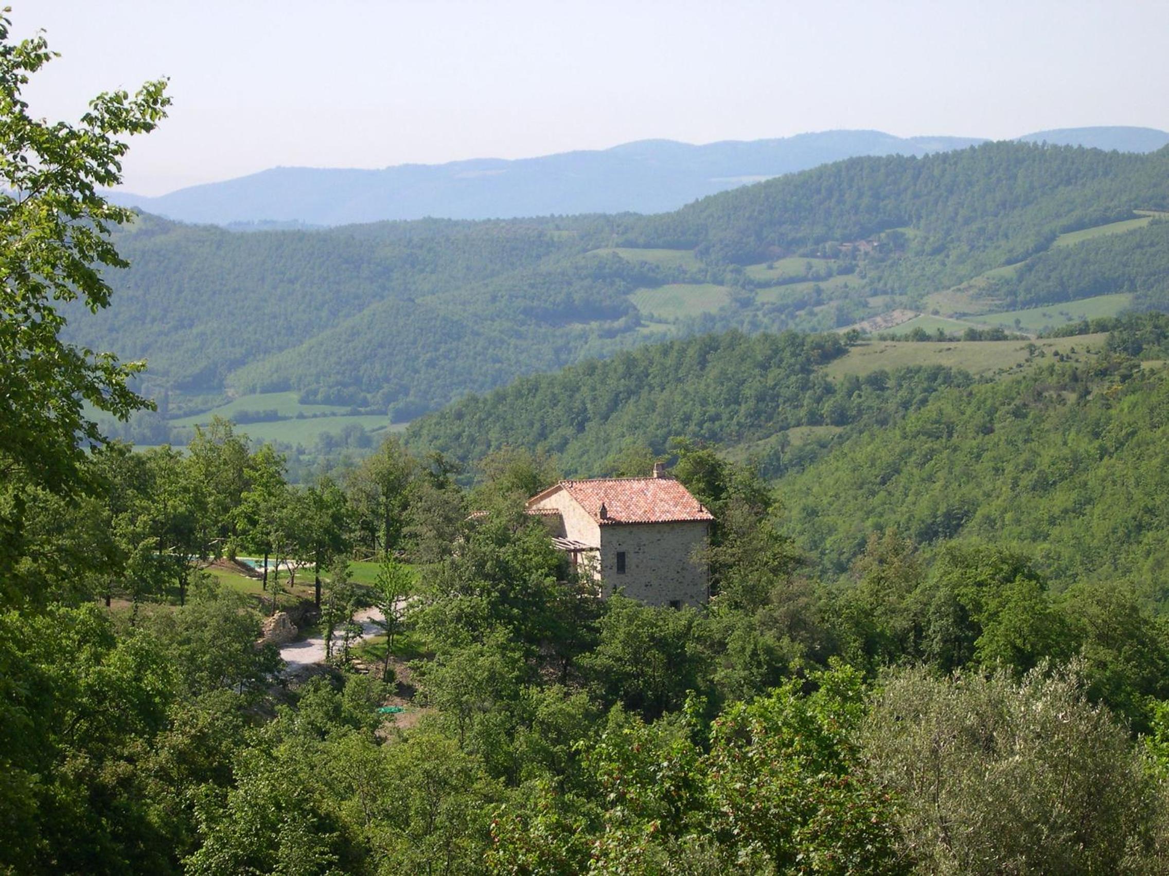 Photo 25