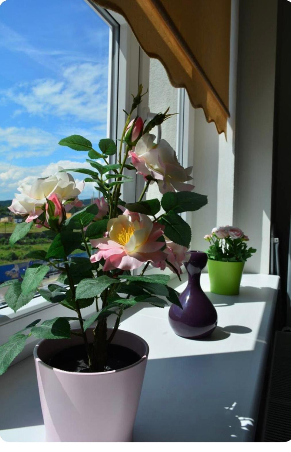 MM Apartment Argentinska
