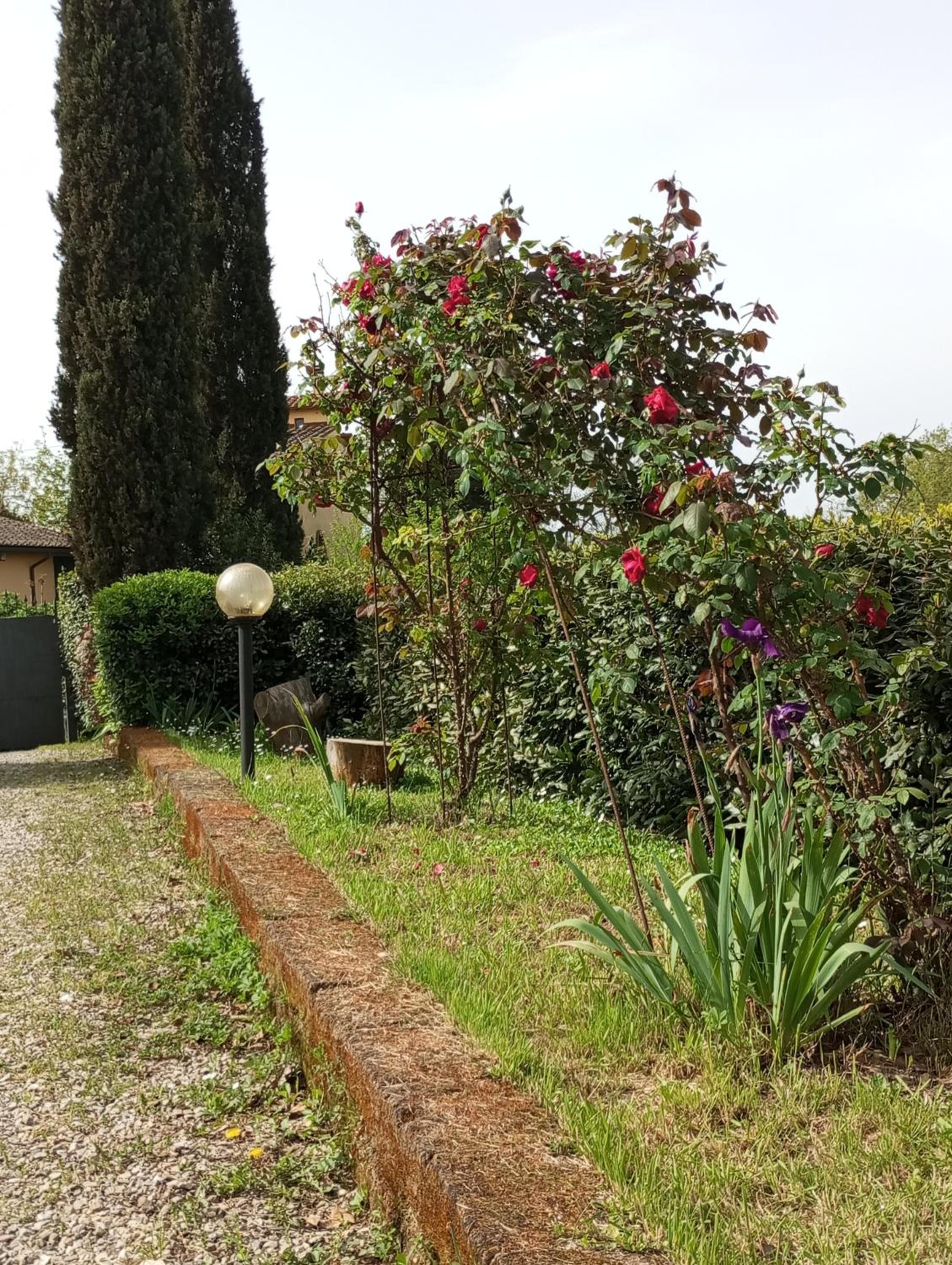 Photo 15