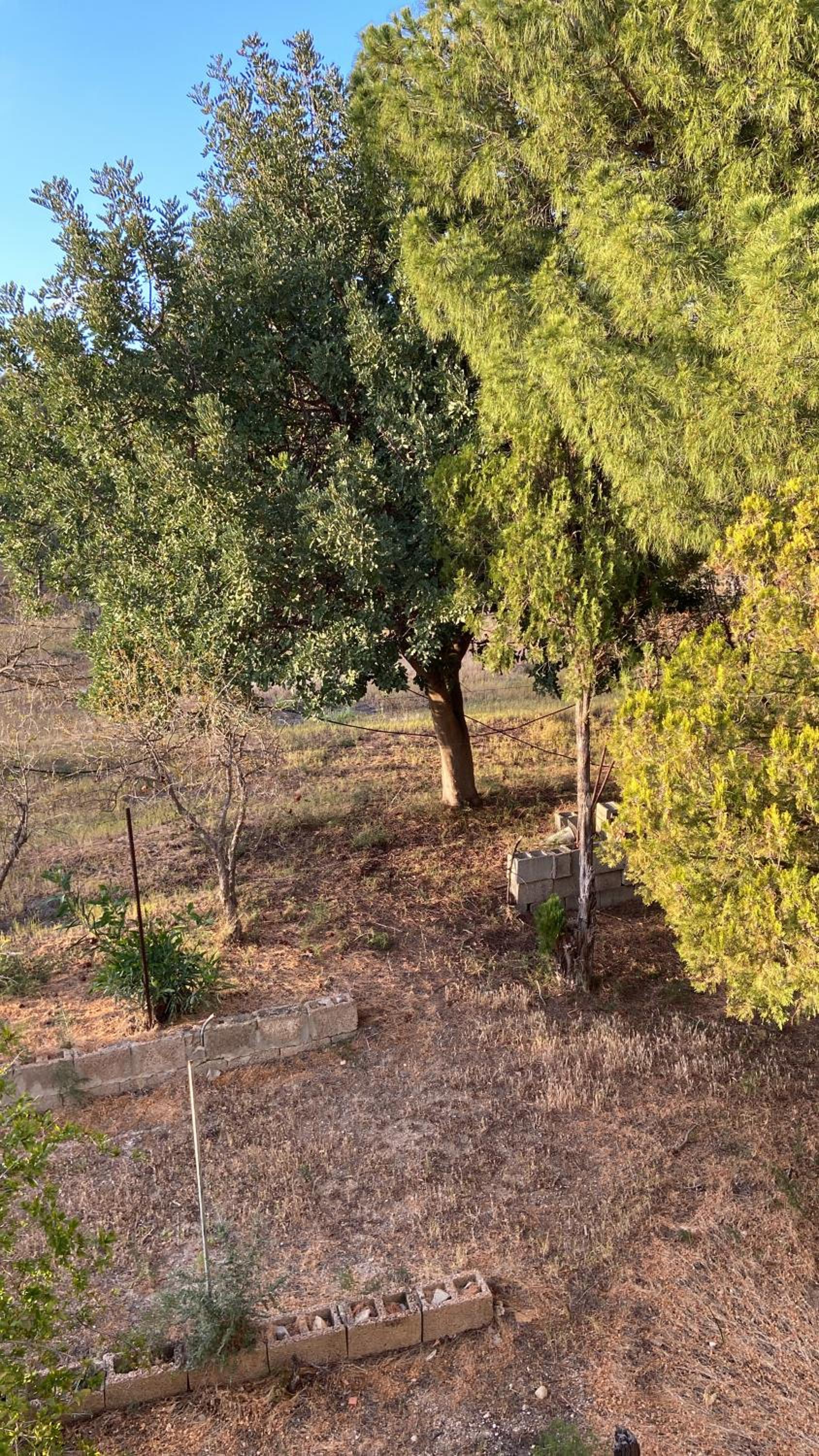 Casa Fiore