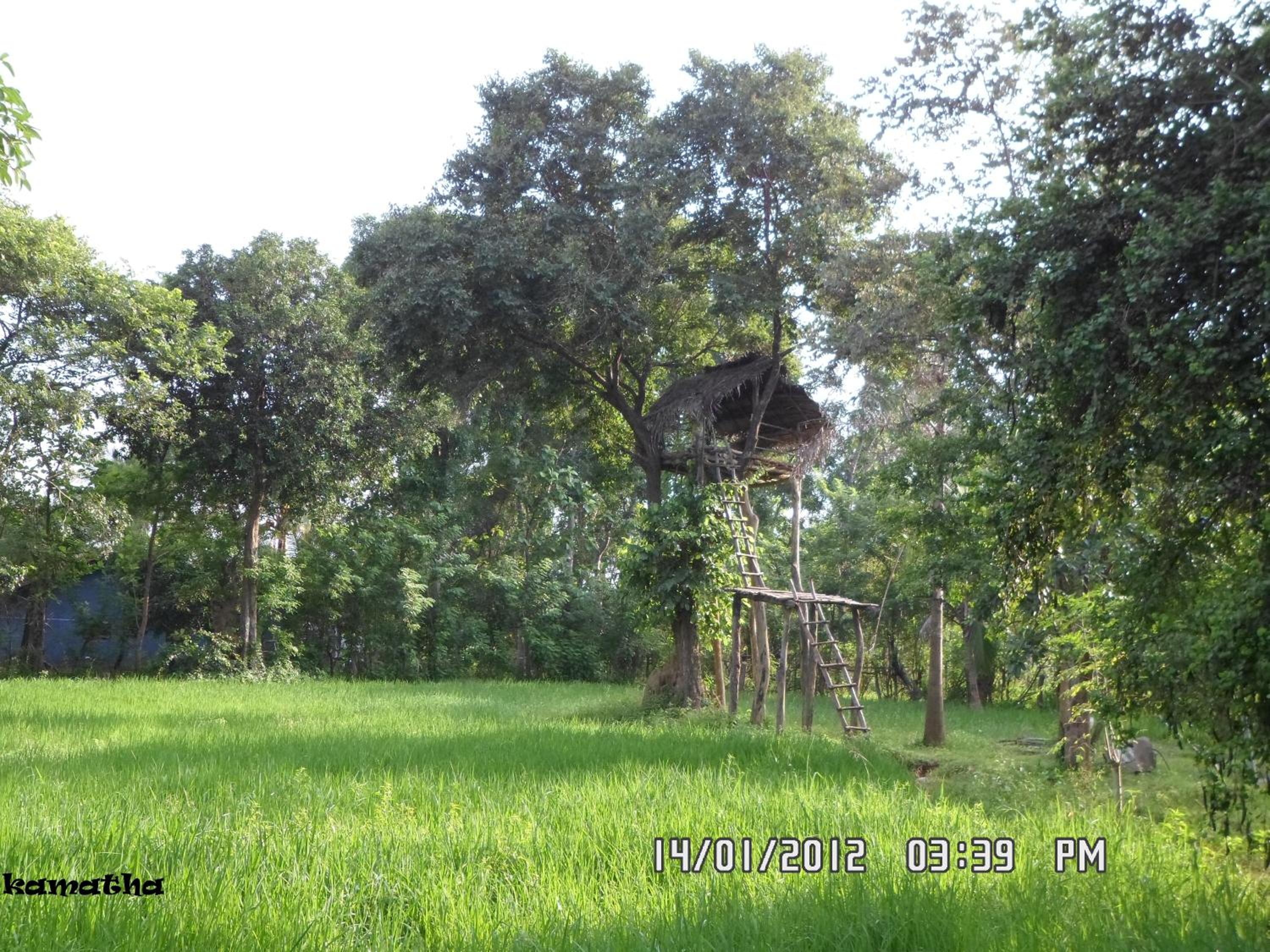 Photo 6