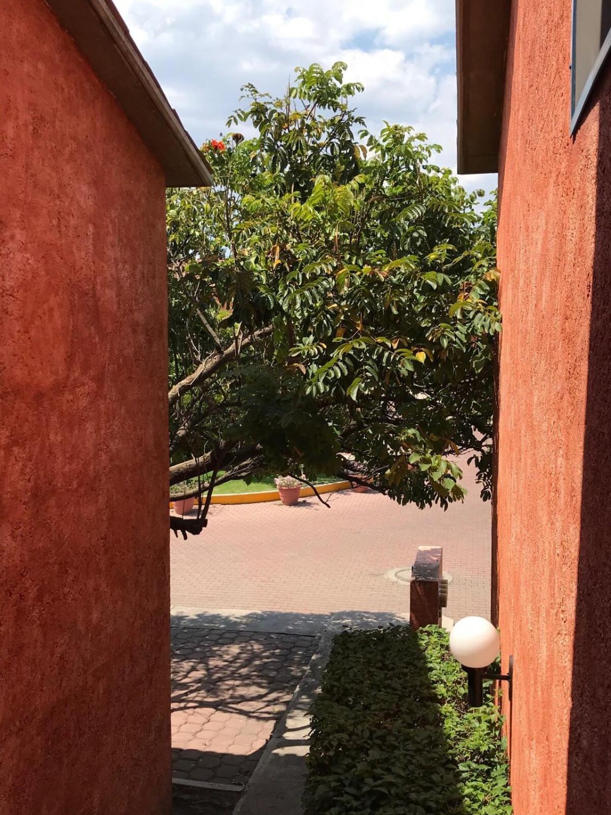 MS Suite Amueblada Alberca Blvd B Quintana view 3