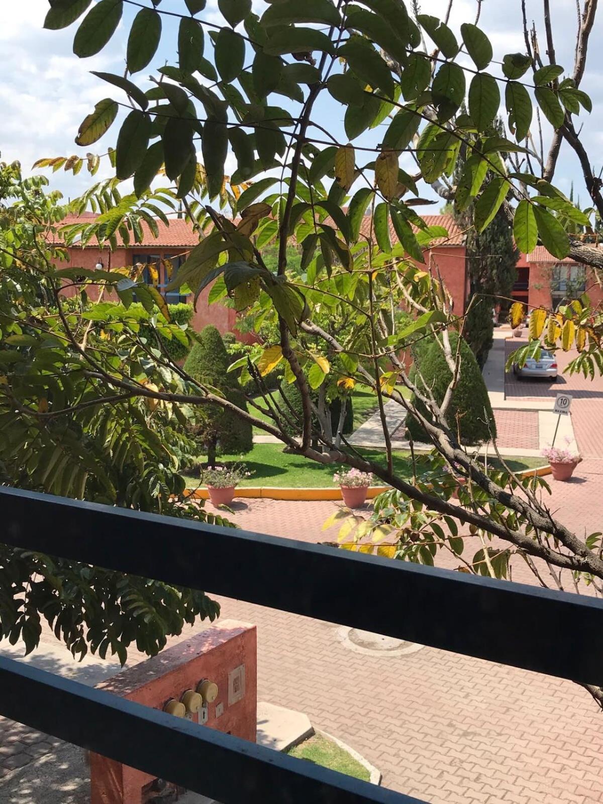 MS Suite Amueblada Alberca Blvd B Quintana view 4