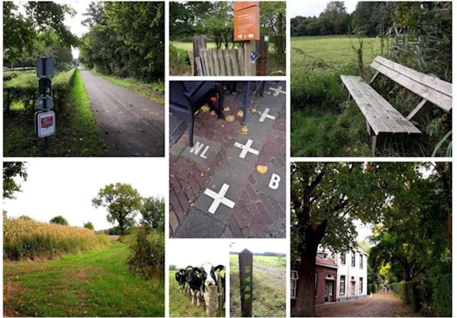Sfeervol familielandhuis in de groene Kempen
