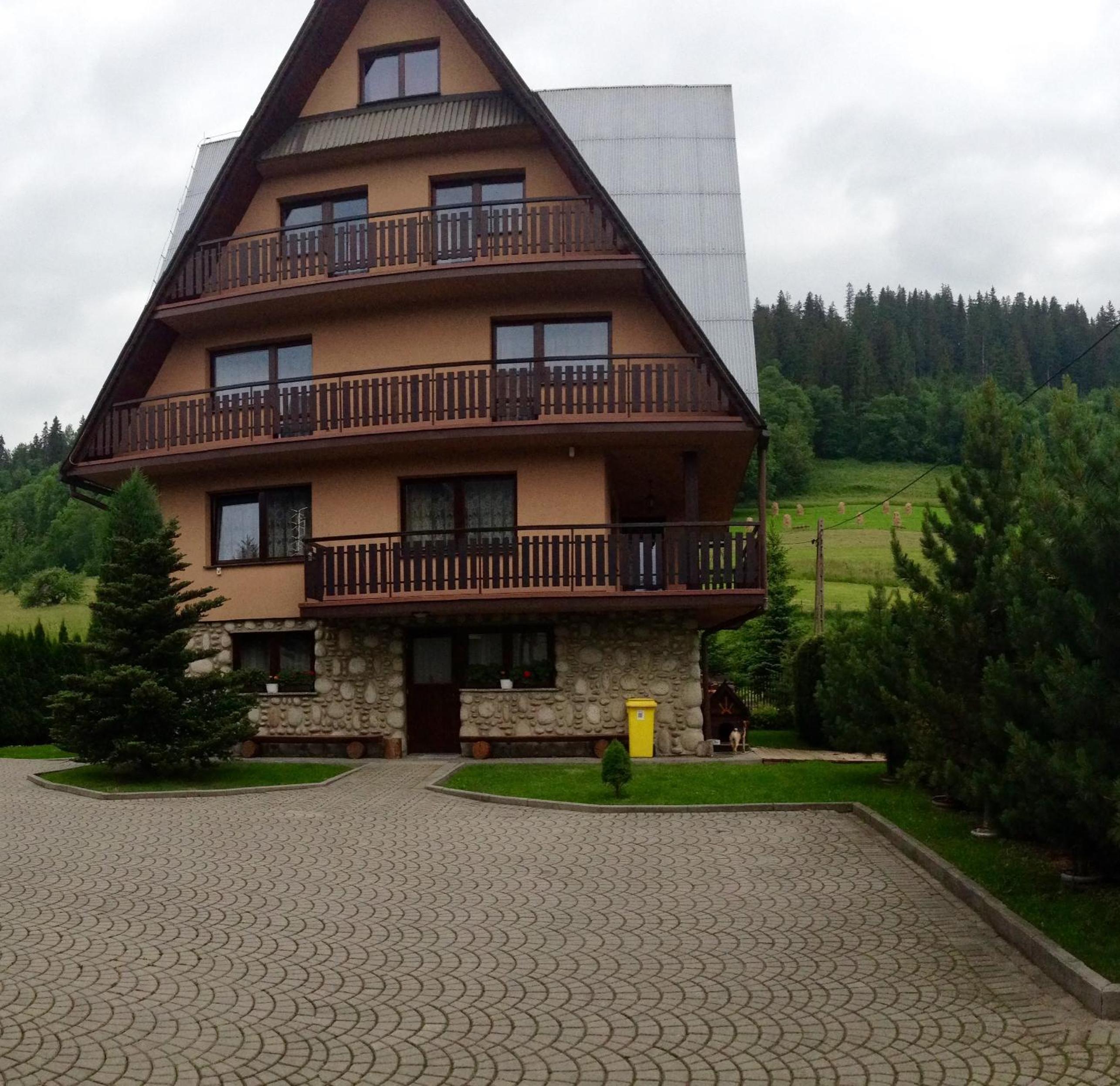 Photo 46
