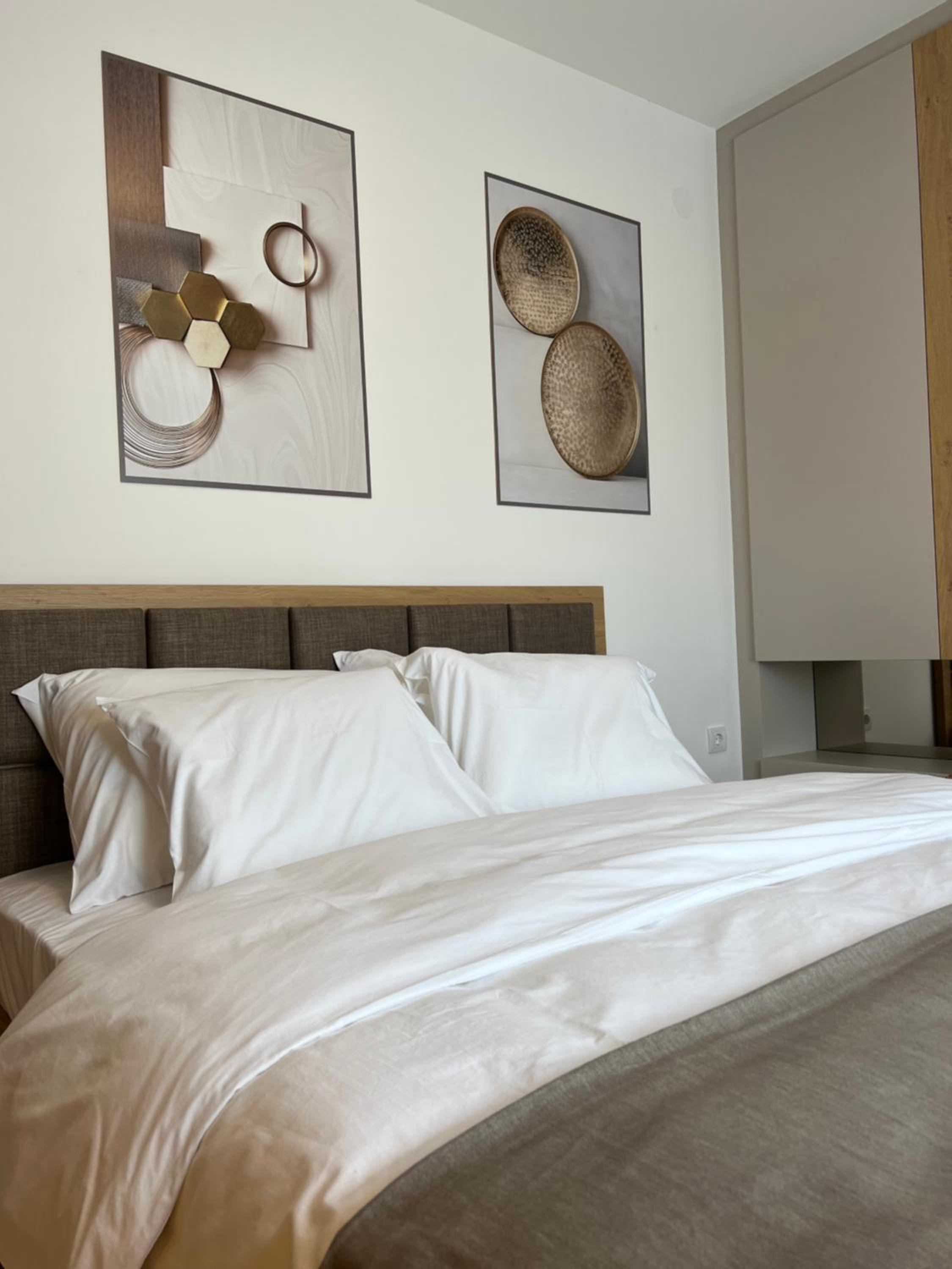 Verde Apartman Sokobanja view 5