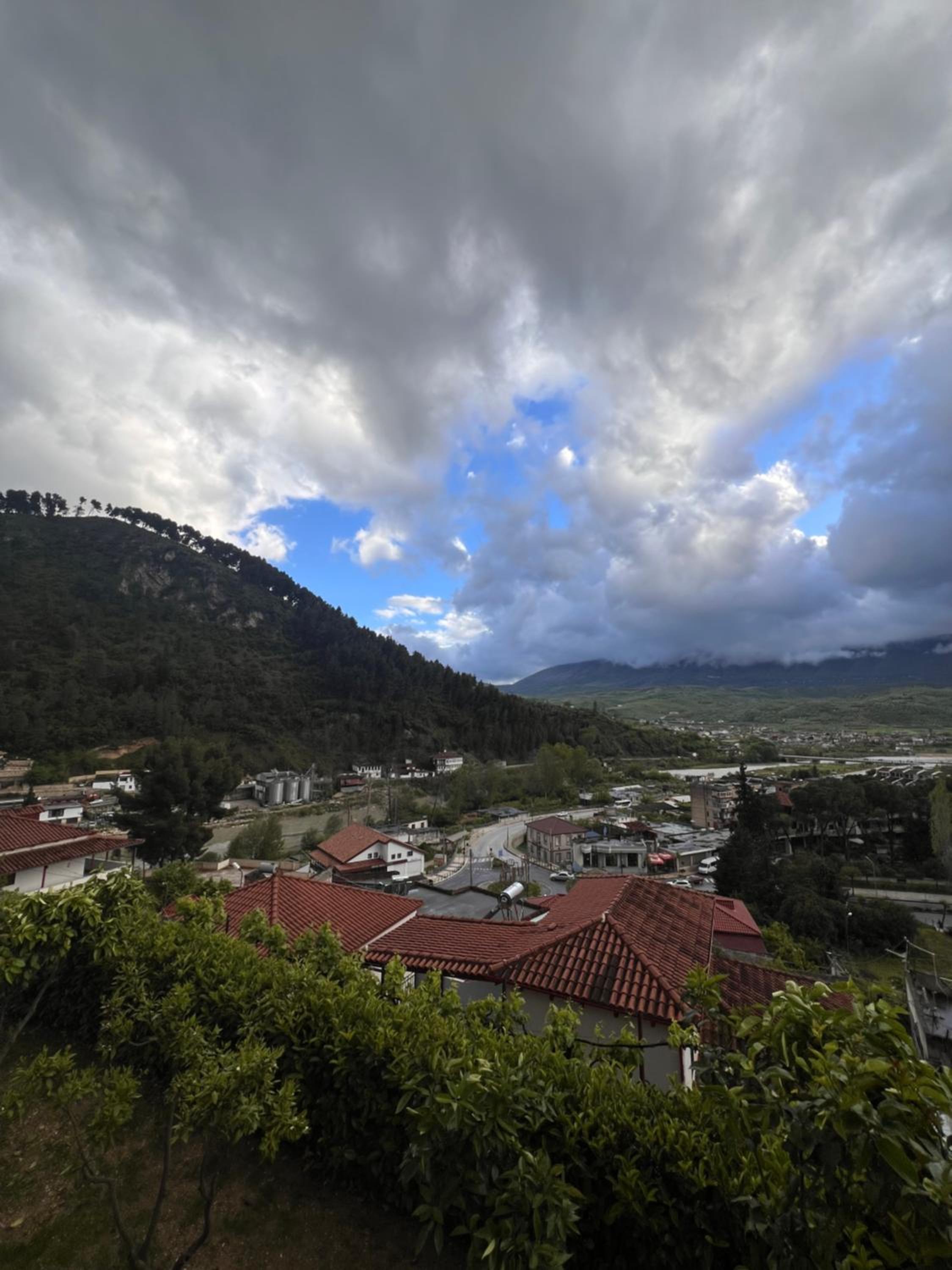 Hotel Villa Edis