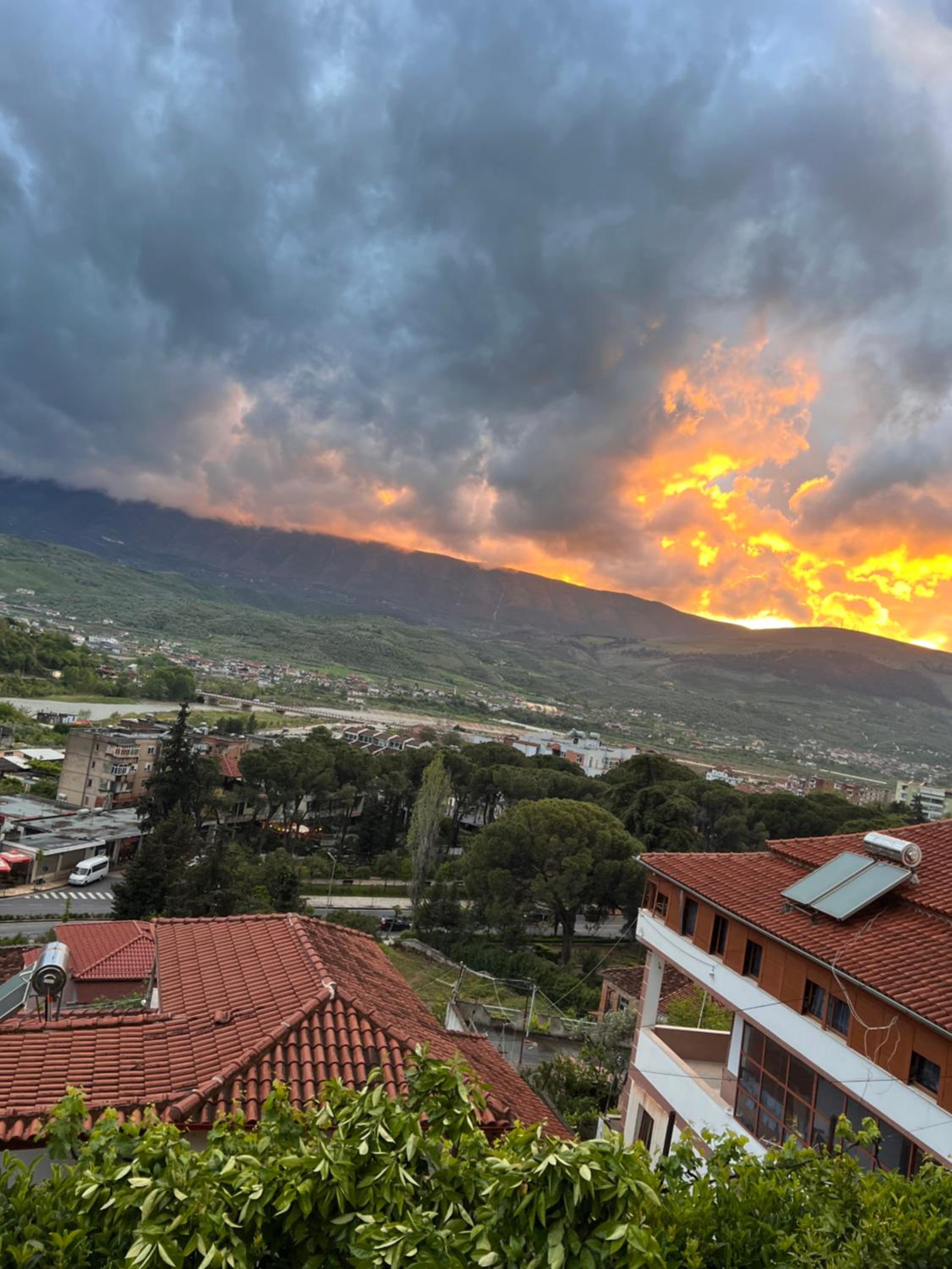 Hotel Villa Edis