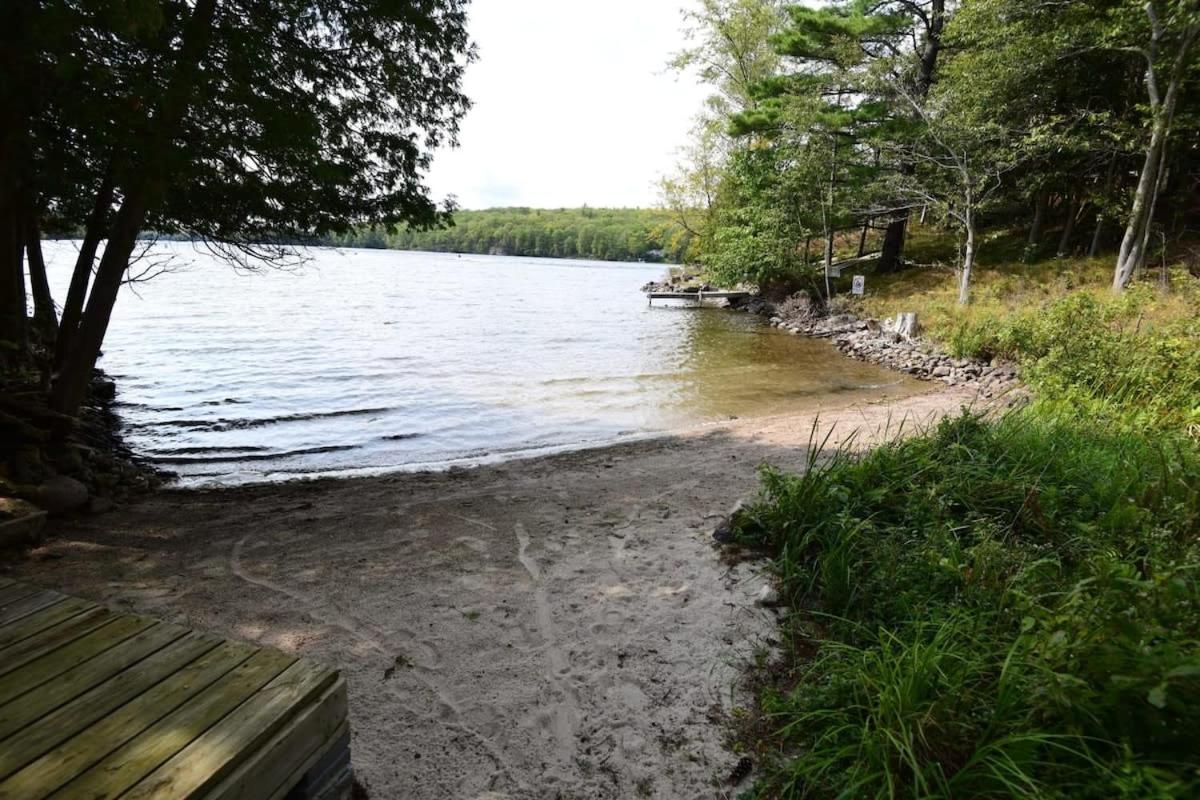 Sunset Cove Waterfront nature retreat with bunkie