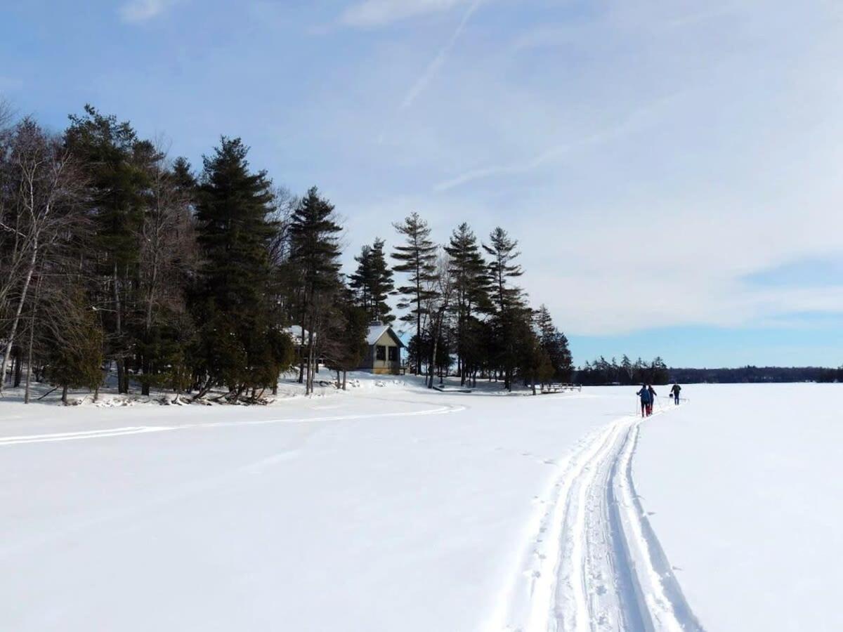 Sunset Cove Waterfront nature retreat with bunkie