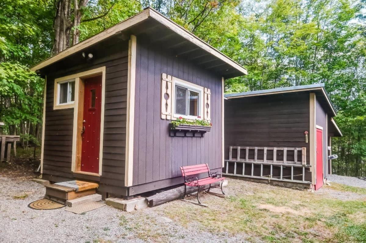 Sunset Cove Waterfront nature retreat with bunkie